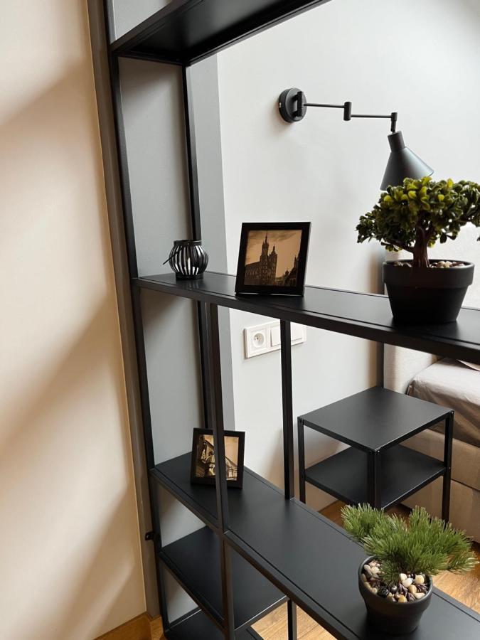 Cosy Apartments In クラクフ エクステリア 写真